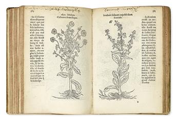 (BOTANICAL.) Fuchs, Leonard. Histoire des plantes de M. Leonhart Fuschsius, avec les noms Grecs, Latin, & Fráçoys.